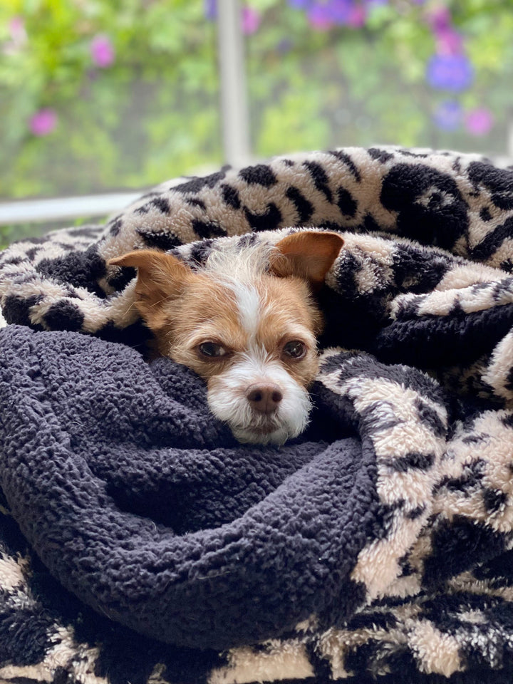Cozy Companion Dog Blanket