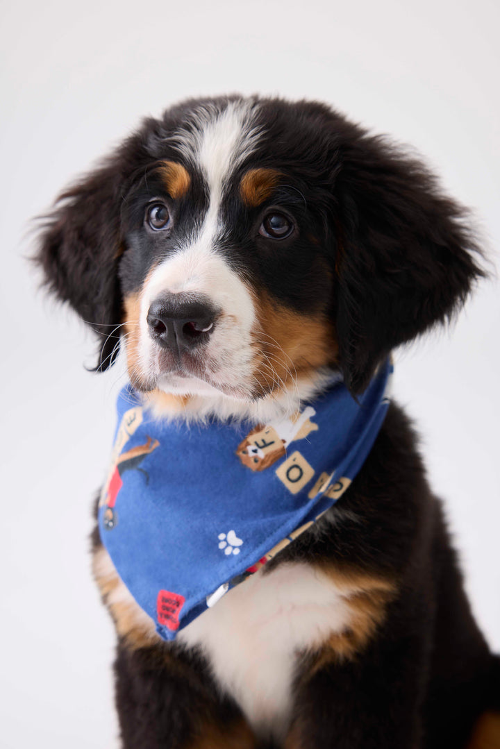 Bandana for dogs in dark blue with dog-game print. Exclusive style to support partnership with Love Leo Rescue.