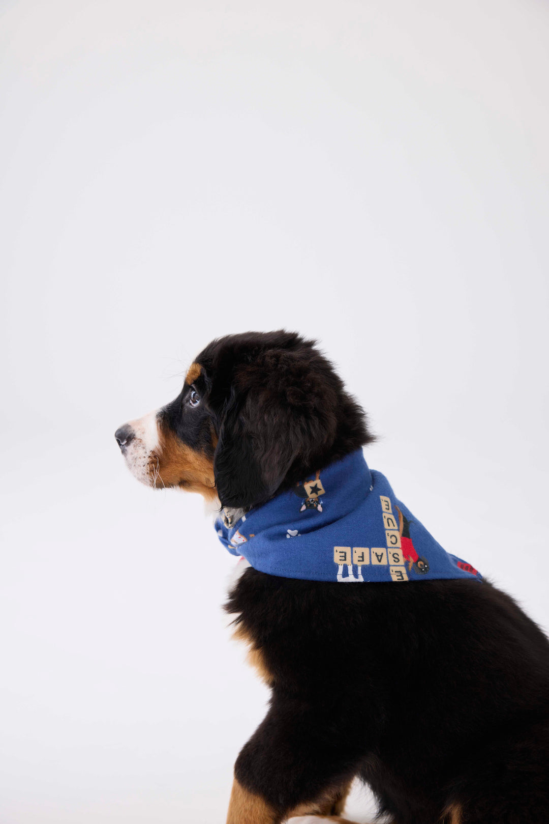 Bandana for dogs in dark blue with dog-game print. Exclusive style to support partnership with Love Leo Rescue.