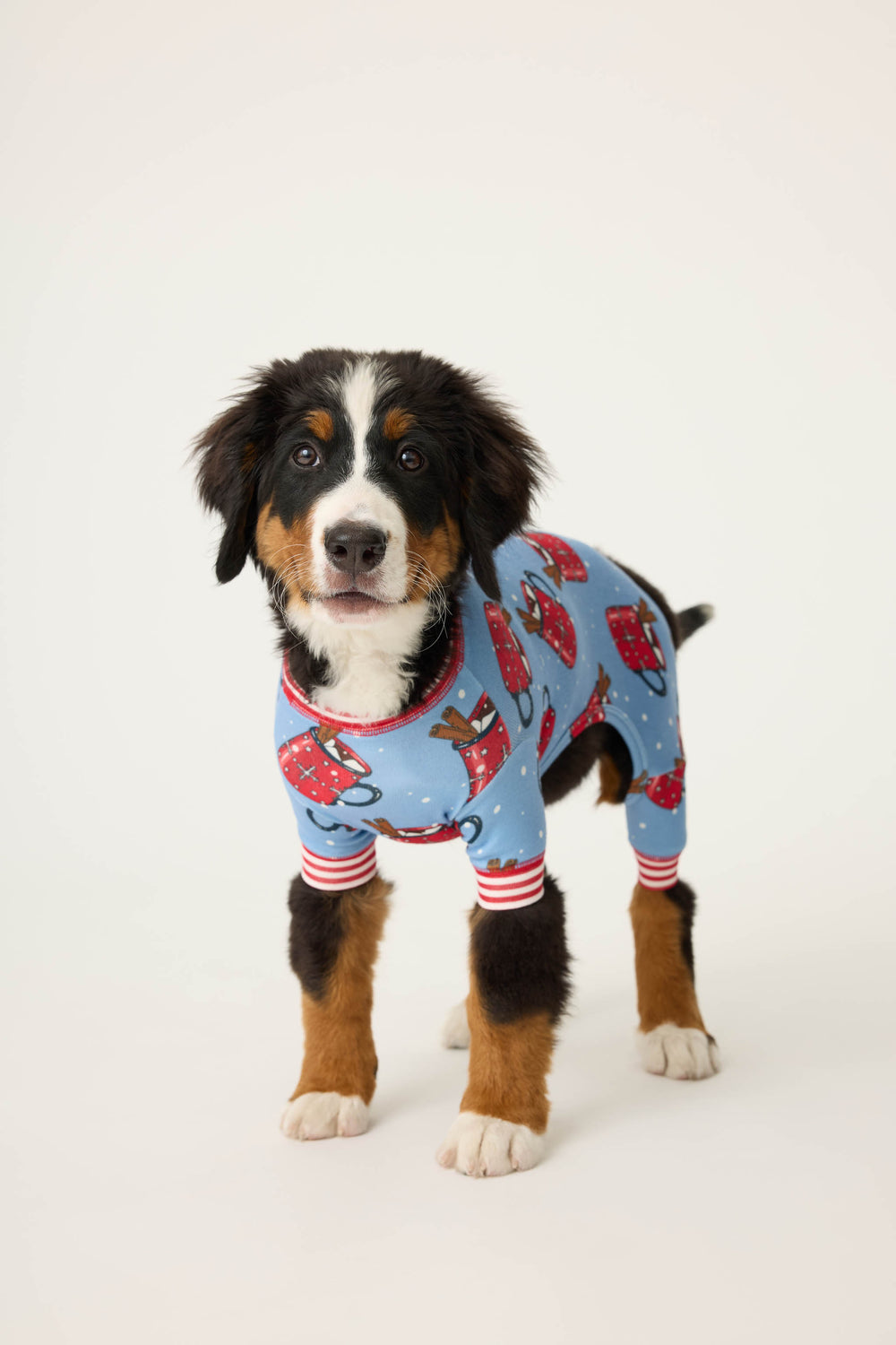 Blue dog sweater with hot cocoa mug pattern and candy cane stripe detail on arms.